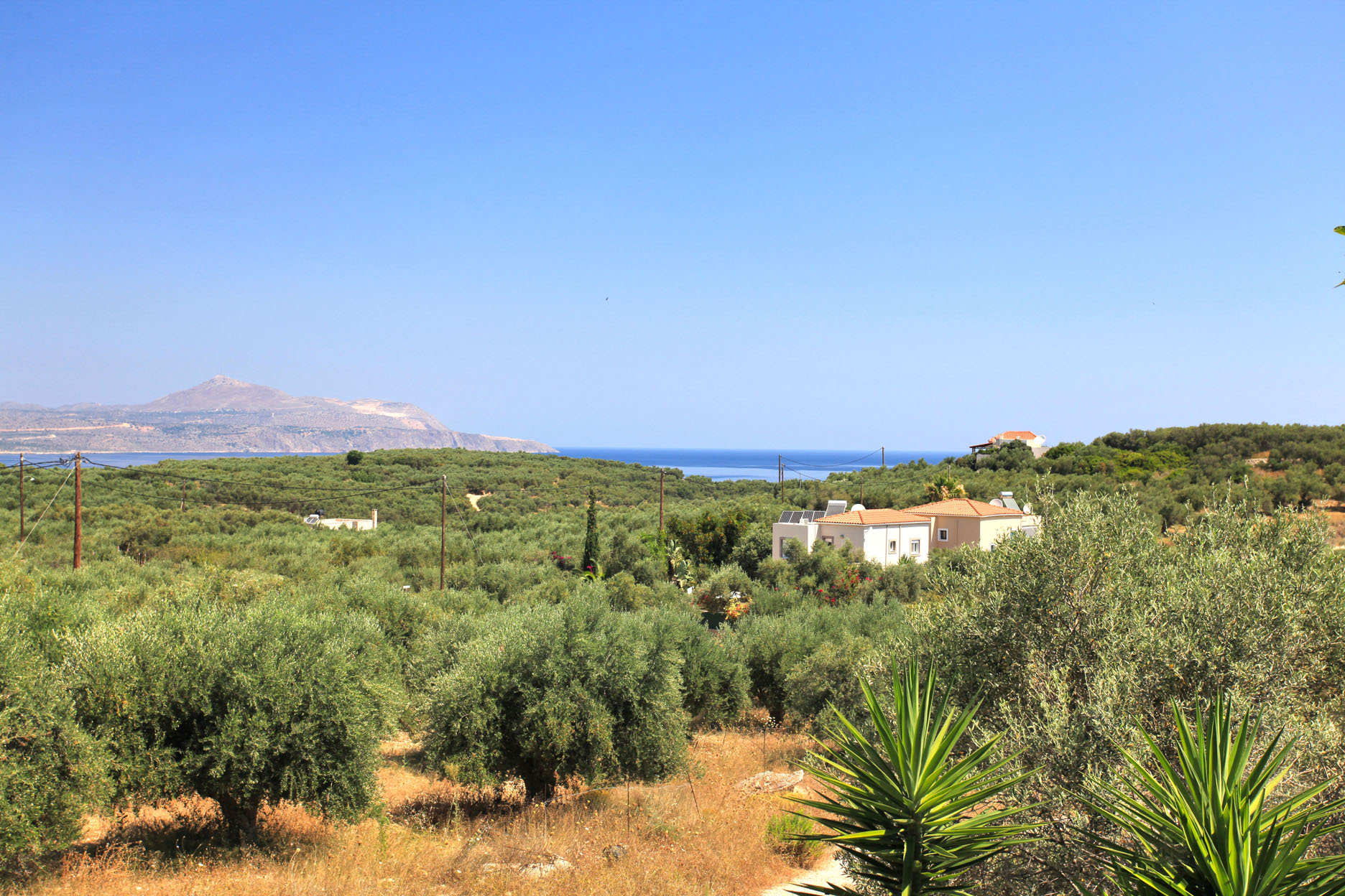 Property 20